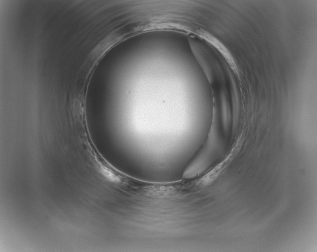 X0000074220809200609222006