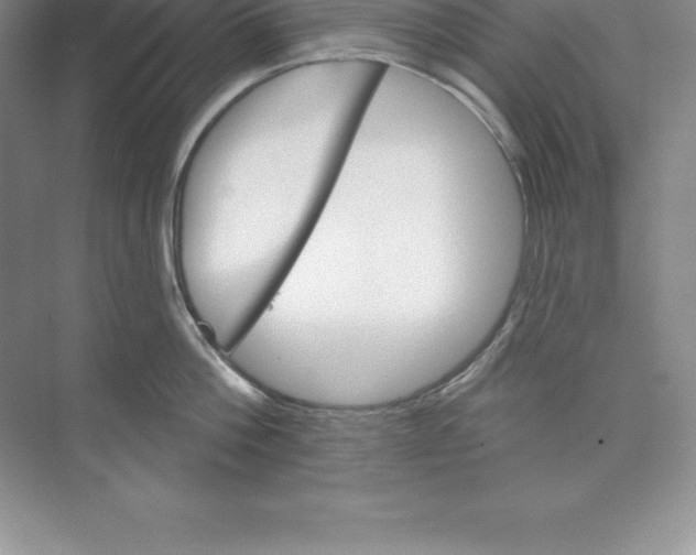X0000074220812200609222006