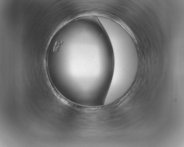 X0000074220813200609222006