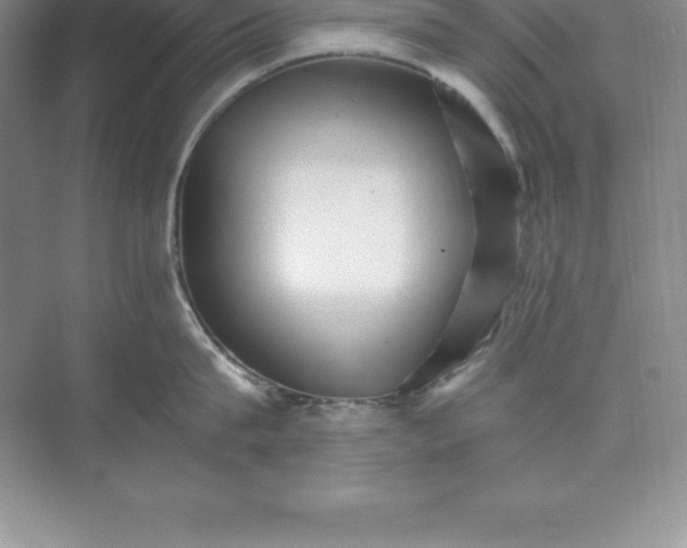 X0000074220815200609222005