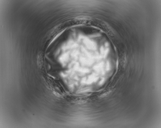 X0000074220821200609222005
