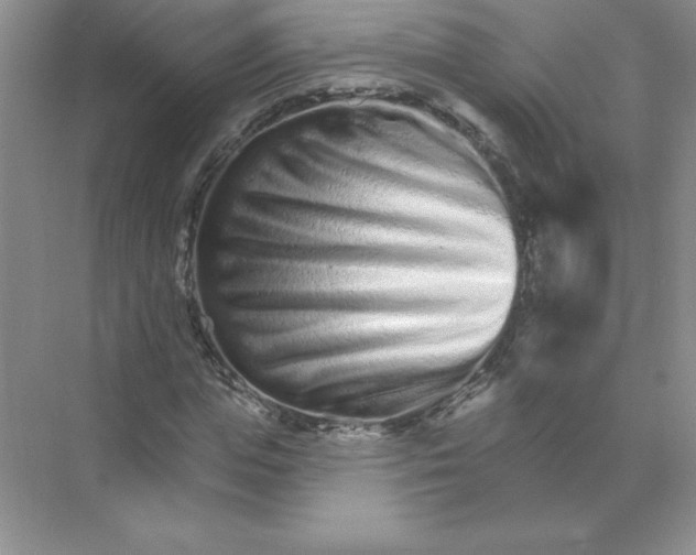 X0000074220823200609222005