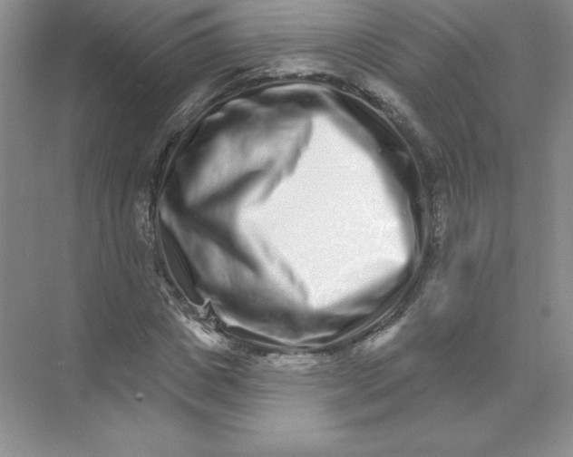 X0000074220825200609222005