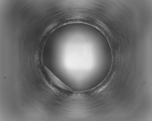 X0000074220826200609222005