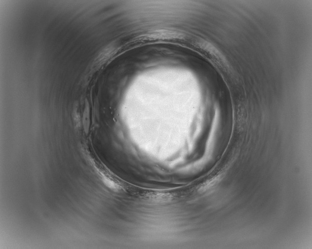 X0000074220833200609222005