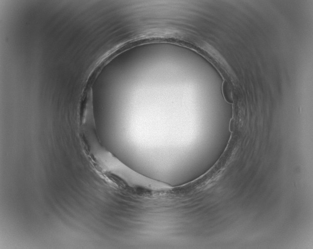 X0000074220834200609222005