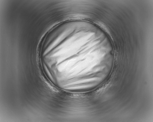 X0000074220835200609222005