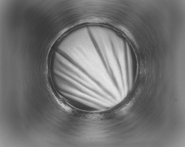 X0000074220837200609222005