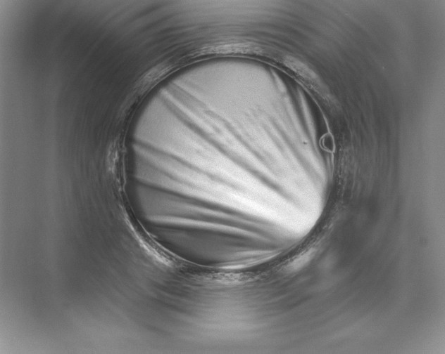 X0000074220841200609222005