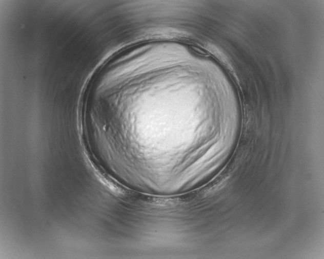 X0000074220843200609222005