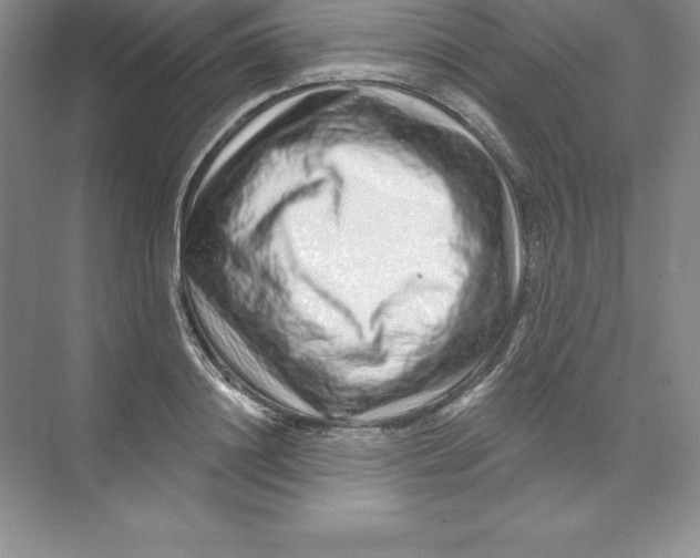 X0000074220844200609222005