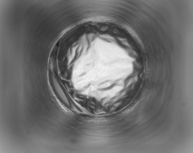 X0000074220845200609222005