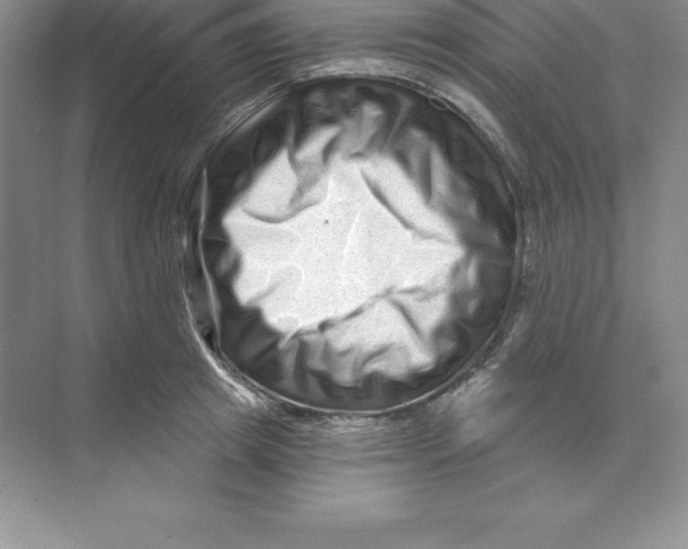 X0000074220849200609222005