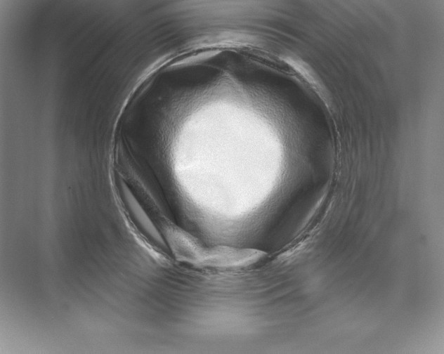 X0000074220850200609222005