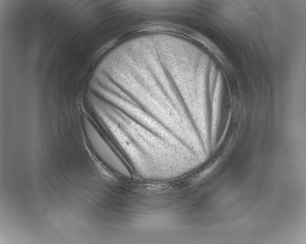 X0000074220857200609222005