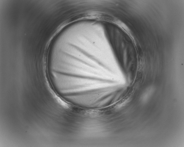 X0000074220859200609222005