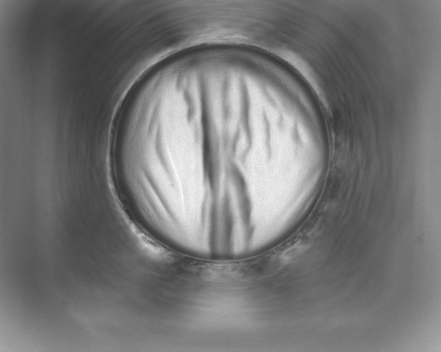 X0000074220861200609222005