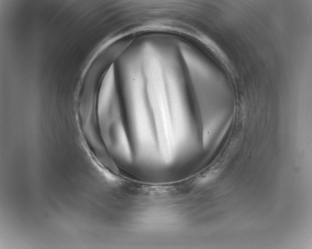 X0000074220862200609222005