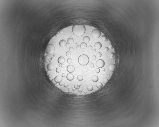 X0000074220867200609222005