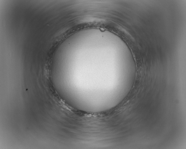 X0000074220869200609222005