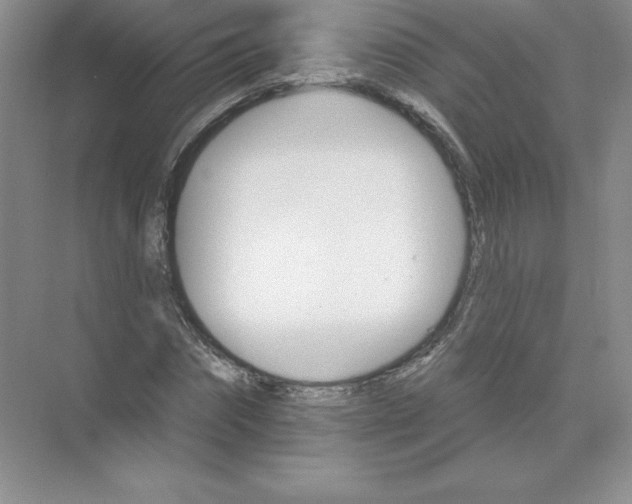 X0000074220874200609222004