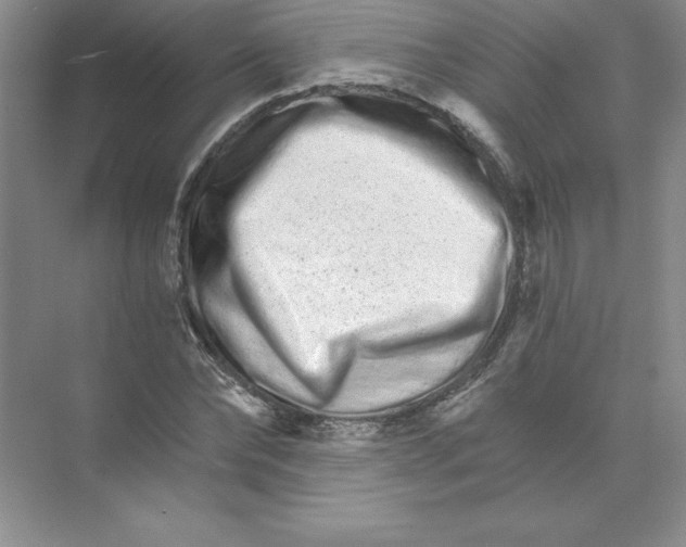 X0000074220878200609222004