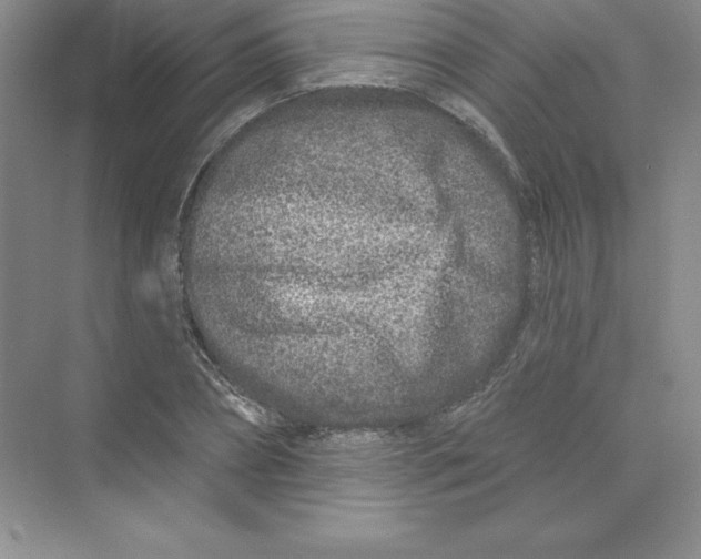 X0000074220882200609222004
