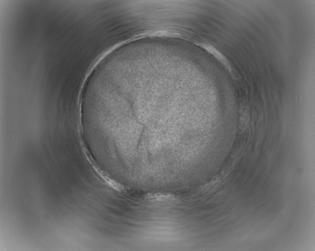 X0000074220886200609222004