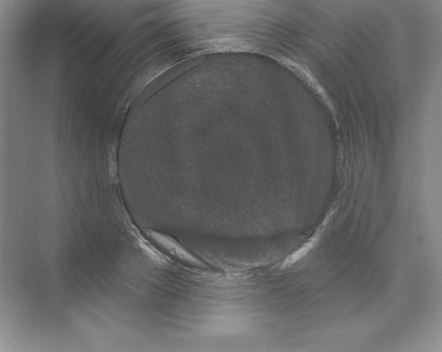 X0000074220889200609222004