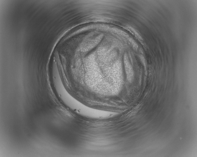 X0000074220891200609222004