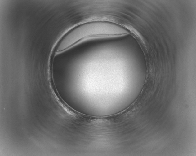 X0000074220894200609222004