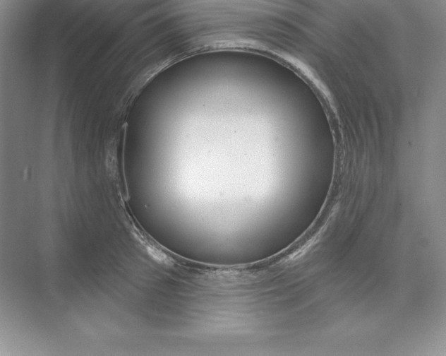 X0000074220897200609222004