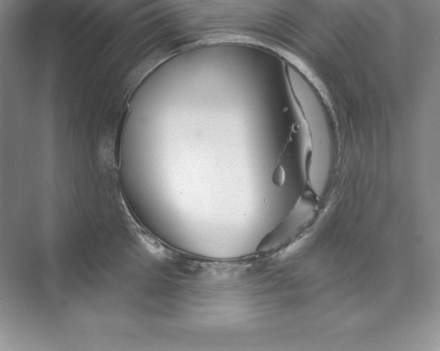 X0000074220905200609222004