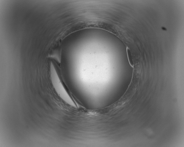 X0000074220916200609222003
