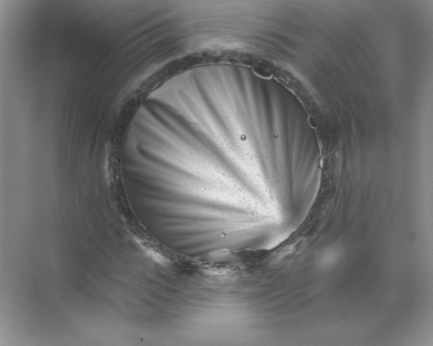 X0000074220919200609222003