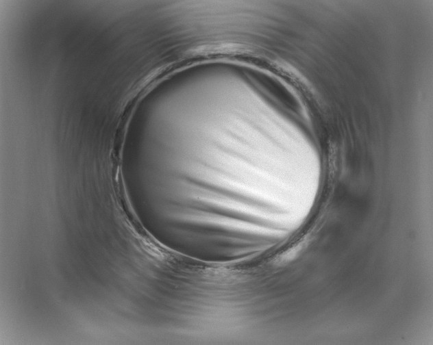 X0000074220921200609222003