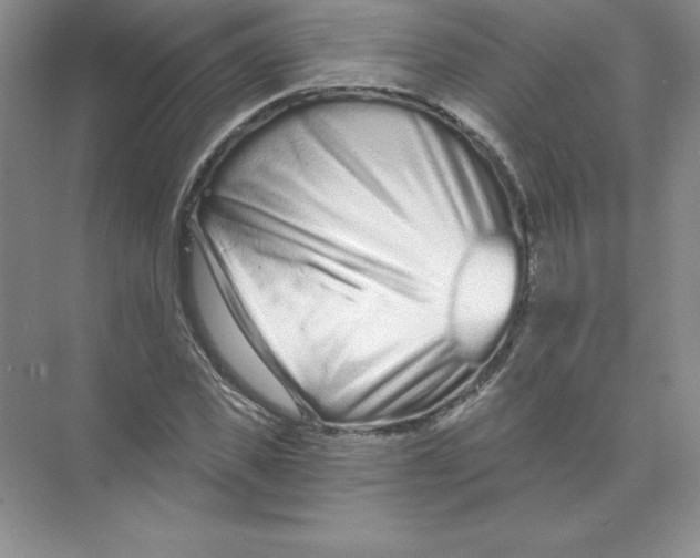 X0000074220925200609222003