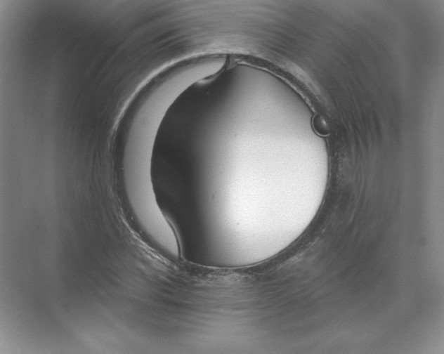 X0000074220926200609222003