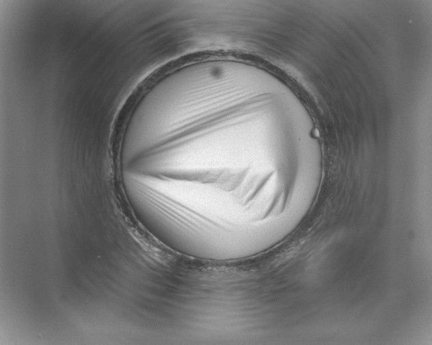 X0000074220927200609222003