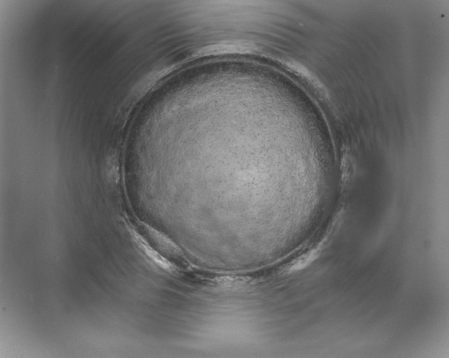 X0000074220929200609222003