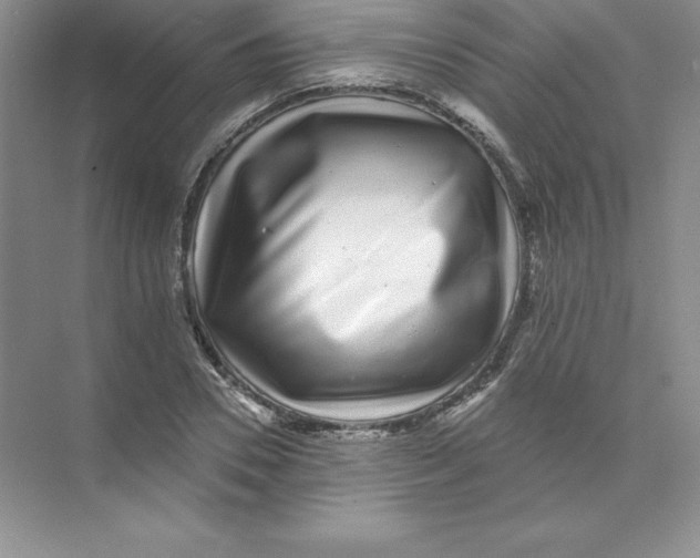 X0000074220930200609222003