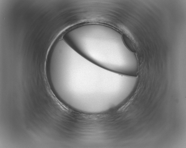 X0000074220932200609222003