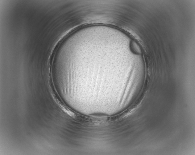 X0000074220933200609222003