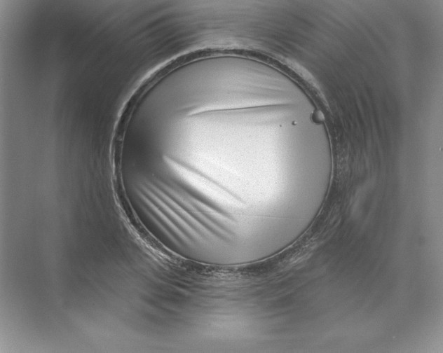 X0000074220935200609222003