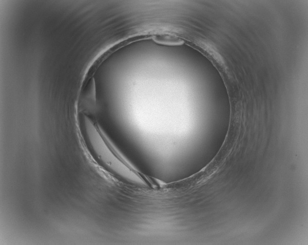 X0000074220936200609222003