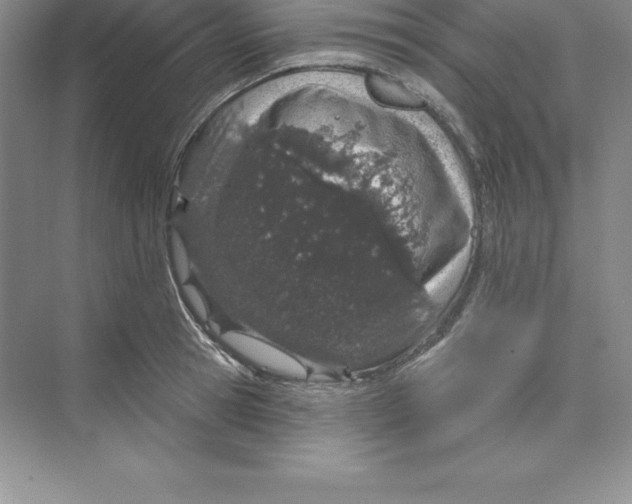 X0000074220945200609222004