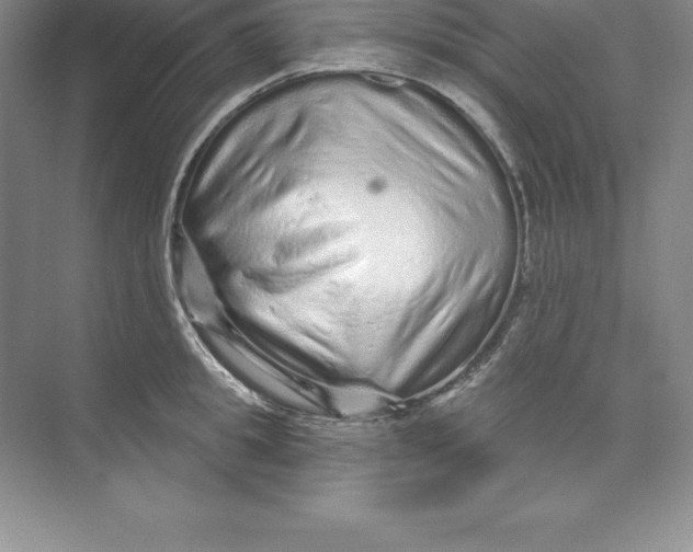 X0000074220949200609222004