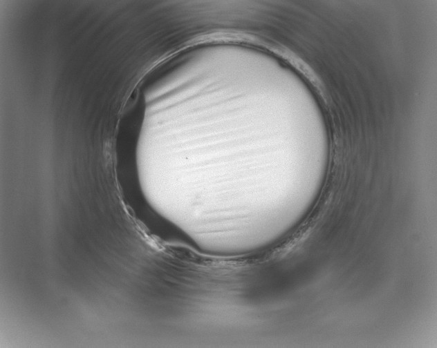 X0000074220953200609222004