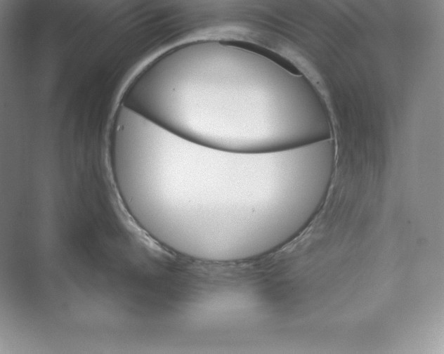 X0000074220960200609222004