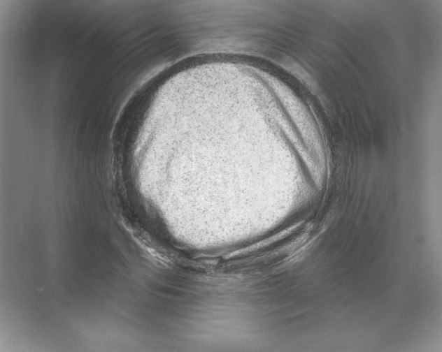 X0000074220974200609222003